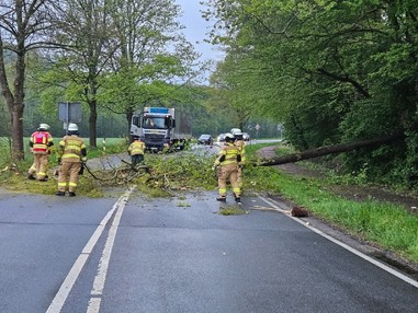 News: LZ Blecher, LG Voiswinkel: Technische Hilfe Baum (Altenberg)