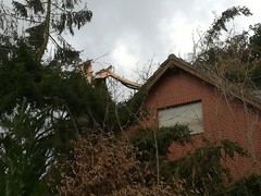 News: LZ Nord: Technische Hilfe Baum auf Dach (Glöbusch) (10.02.2020, 10:07 Uhr)