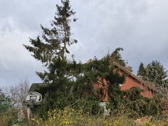 News: LZ Nord: Technische Hilfe Baum auf Dach (Glöbusch) (10.02.2020, 10:07 Uhr)