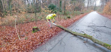 News: LG Voiswinkel: Technische Hilfe Baum (Voiswinkel) (04.02.2020, 13:08 Uhr)