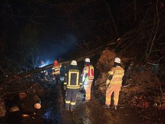 News: LG Voiswinekl, LZ Blecher: Technische Hilfe Baum (Odenthal) (29.01.2021, 02:56 Uhr)