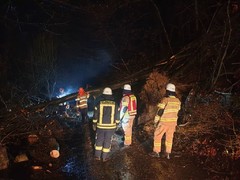 News: LG Voiswinekl, LZ Blecher: Technische Hilfe Baum (Odenthal) (29.01.2021, 02:56 Uhr)