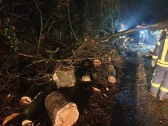 News: LG Voiswinekl, LZ Blecher: Technische Hilfe Baum (Odenthal) (29.01.2021, 02:56 Uhr)