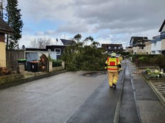 News: Sturmtief Ylenia (Gemeindegebiet) (17.02.2022, 04:41 Uhr)