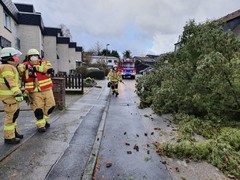 News: Sturmtief Ylenia (Gemeindegebiet) (17.02.2022, 04:41 Uhr)