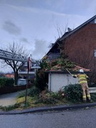 News: LZ Blecher: Technische Hilfe Baum (Erberich) (21.12.2023, 15:25 Uhr)