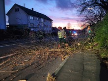 LG Eikamp: Technische Hilfe Baum (Eikamp)