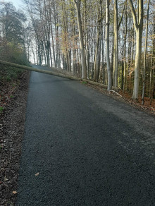 LG Scheuren: Technische Hilfe Baum (Bülsberg)