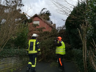 News: LZ Nord: Technische Hilfe Baum auf Dach (Glöbusch)