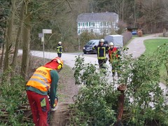 News: Vorläufige Bilanz der Sturmeinsätze (10.02.2020, 06:00 Uhr)