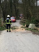 News: Vorläufige Bilanz der Sturmeinsätze (10.02.2020, 06:00 Uhr)