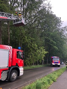 LG Scheuren: Technische Hilfe Baum (Kümps)