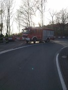 News: LZ Blecher: Unterstützung Rettungsdienst (Altenberg) (01.04.2021, 18:02 Uhr)