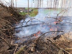 News: LG Scheuren, LG Scherf, LG Eikamp: Waldbrand (14.11.2020, 12:45 Uhr)