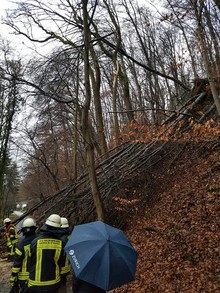 LG Voiswinkel, LZ Nord: Technische Hilfe Baum (Odenthal)