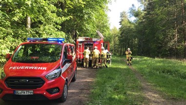 News: LG Voiswinkel: Rauchentwicklung im Wald (Voiswinkel)