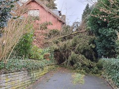 News: LZ Nord: Technische Hilfe Baum auf Dach (Glöbusch) (10.02.2020, 10:07 Uhr)