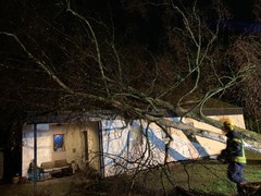 News: LG Voiswinkel, LG Scherf: Technische Hilfe Baum auf Haus und PKW (Voiswinkel) (10.02.2020, 23:49 Uhr)
