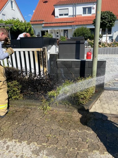 News: LZ Blecher: Kontrolle/Nachschau (Glöbusch)