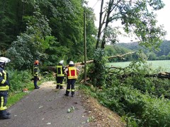 News: LZ Blecher: Technische Hilfe Baum (Schöllerhof) (30.06.2021, 11:30 Uhr)