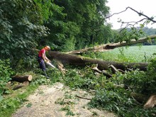 LZ Blecher: Technische Hilfe Baum (Schöllerhof)