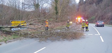 News: LZ Nord, LG Voiswinkel; Technische Hilfe Baum (Altenberg) (16.02.2020, 17:22 Uhr)