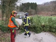 News: Vorläufige Bilanz der Sturmeinsätze (10.02.2020, 06:00 Uhr)