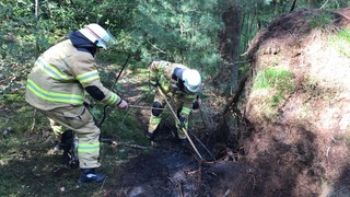 News: LG Voiswinkel: Rauchentwicklung im Wald (Voiswinkel) (24.05.2021, 09:09 Uhr)