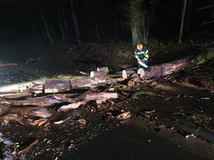 News: LZ Nord: Technische Hilfe Baum (Altenberg) (28.01.2020, 05:15 Uhr)