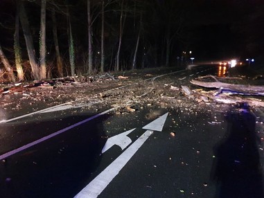 News: LZ Nord: Technische Hilfe Baum (Altenberg)