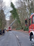 News: LZ Blecher: Technische Hilfe Baum (Odenthal) (29.12.2022, 13:20 Uhr)