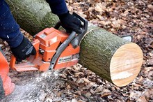 LZ Blecher: Technische Hilfe Baum (Glöbusch)