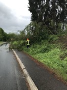 News: LZ Nord: Technische Hilfe Baum (Glöbusch) (17.05.2021, 13:10 Uhr)