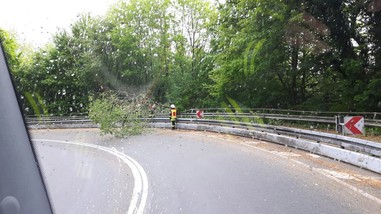 News: LZ Odenthal Nord: Baum auf Strasse Hauptstrasse Blecher-Altenberg