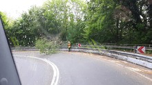 LZ Odenthal Nord: Baum auf Strasse Hauptstrasse Blecher-Altenberg