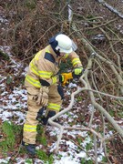 News: LZ Blecher: Technische Hilfe Baum (Erberich) (22.01.2023, 14:17 Uhr)