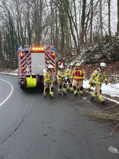 News: LZ Blecher: Technische Hilfe Baum (Erberich)