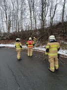 News: LZ Blecher: Technische Hilfe Baum (Erberich) (22.01.2023, 14:17 Uhr)