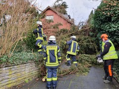 News: LZ Nord: Technische Hilfe Baum auf Dach (Glöbusch) (10.02.2020, 10:07 Uhr)