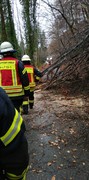 News: LG Voiswinkel, LZ Nord: Technische Hilfe Baum (Odenthal) (27.01.2020, 16:10 Uhr)