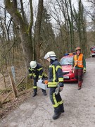 News: Vorläufige Bilanz der Sturmeinsätze (10.02.2020, 06:00 Uhr)