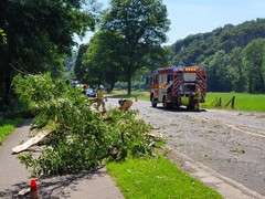 News: LZ Blecher: Technische Hilfe Baum (Altenberg) (30.06.2022, 15:36 Uhr)