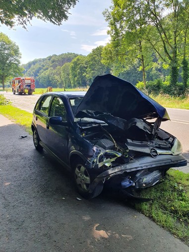 News: LZ Blecher: Technische Hilfe Baum (Altenberg)