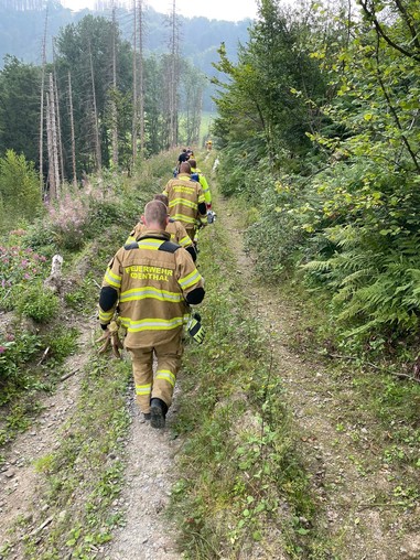 News: LZ Blecher: Tragehilfe für den Rettungsdienst (Schöllerhof)