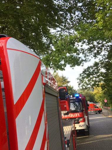 News: Gemeindealarm: Auslösung Brandmeldeanlage (Altenberg)