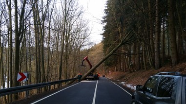 News: LZ Odenthal Süd: Technische Hilfe Baum (Odenthal)