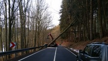 LZ Odenthal Süd: Technische Hilfe Baum (Odenthal)