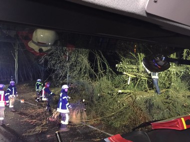 News: LZ Süd: Technische Hilfe Baum auf Fahrbahn (Scheuren)