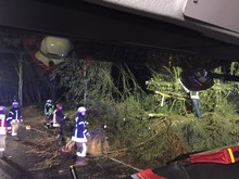 LZ Süd: Technische Hilfe Baum auf Fahrbahn (Scheuren)