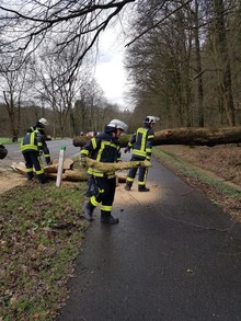 LZ Nord: Technische Hilfe Baum auf Fahrbahn (Altenberg)